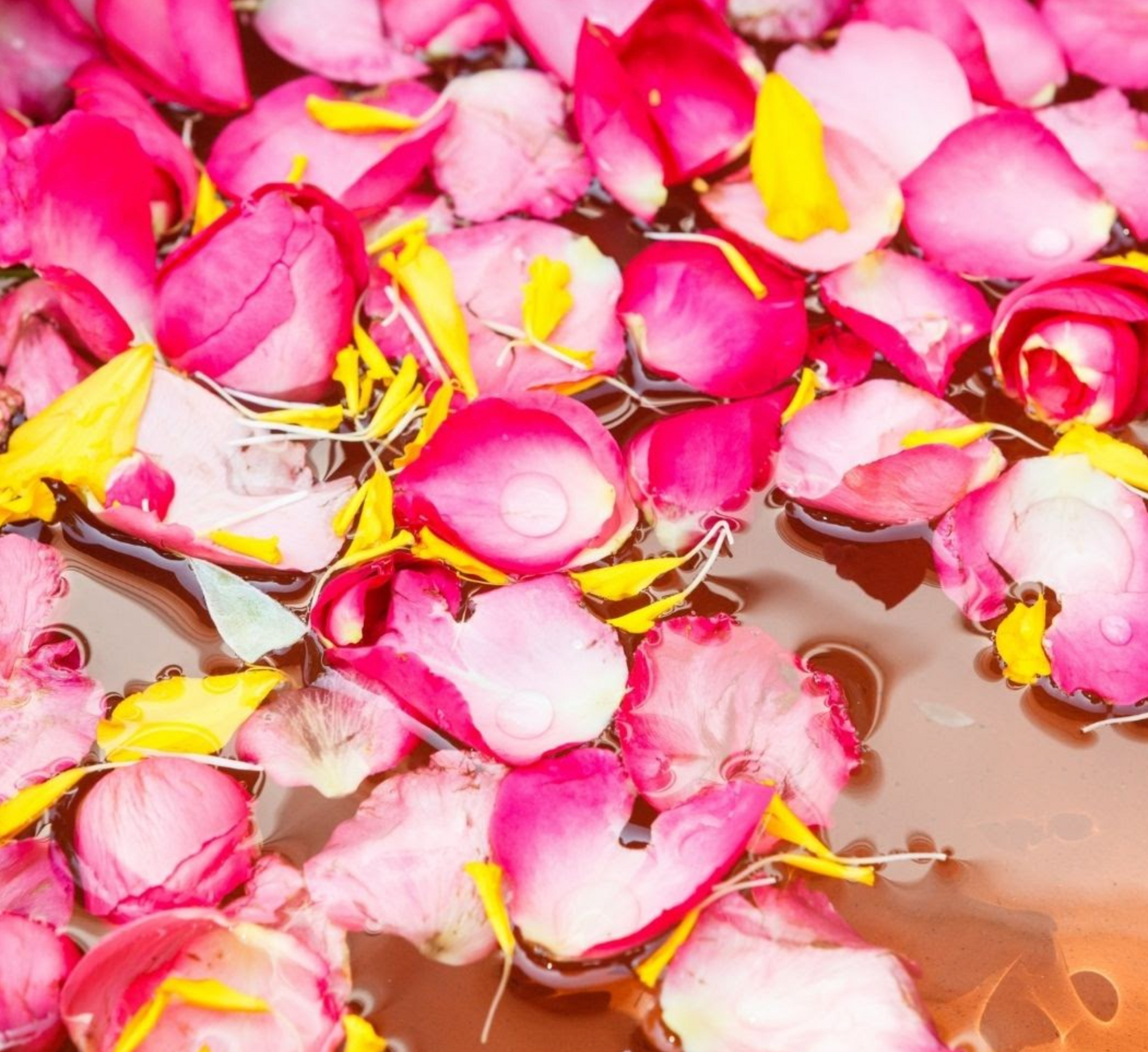 Organic Rose Skincare