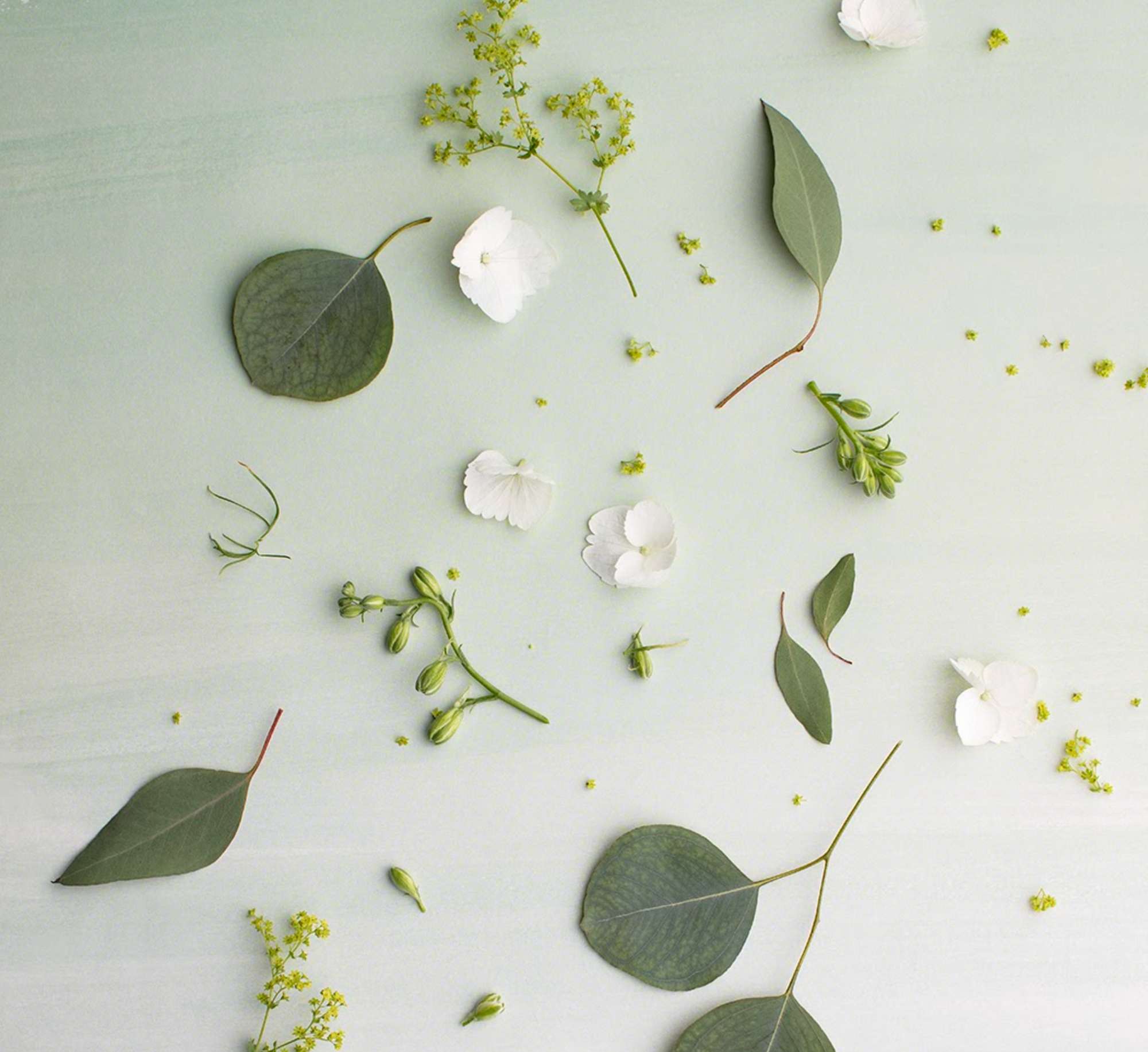 The Peak Scents Guide to Glowing + Radiant Skin: A Morning & Night Routine