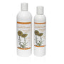 Shop - Calendula Flower Lotion