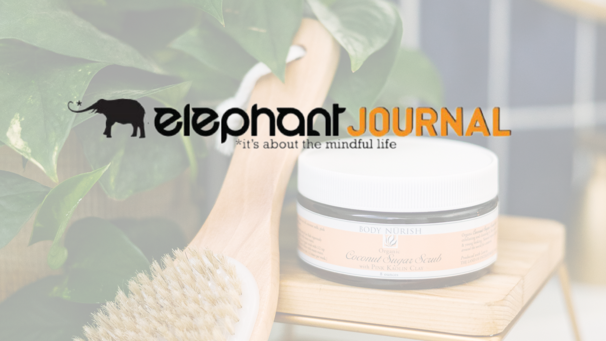 Elephant Journal